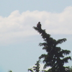 20130521185008-fd5ebe5e