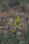 20130522160737-fc945f3e