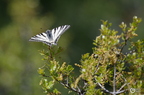 20130522160803-da094665