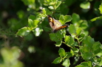20130522160817-c7bf255c