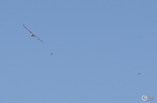 20130522160826-3104c03f