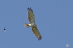 20130522160834-0a870cf1