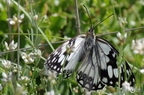 20130522161015-08efefc3