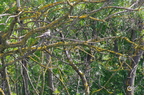 20130527230805-cac7f423