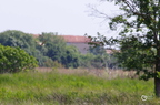 20130527230807-f716bbb7