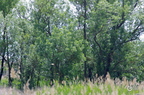 20130527230822-9eddc7b6