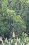 20130527230824-463ee059