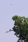 20130527230831-2ddd014d