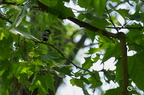 20130527230834-748b1cf8