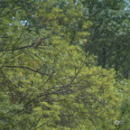 20130528230053-8db42260