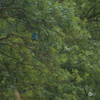 20130528230056-908eba82