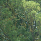 20130528230105-91fb18c6