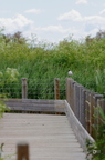 20130530103834-db145b90