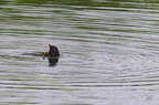 20130530103843-a6e30bc9