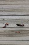 20130530103853-50ff5fac