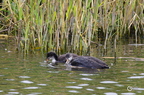 20130530103900-809bdfc3