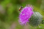 20130530103919-afc4a64e