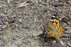 20130530103946-21871ed8