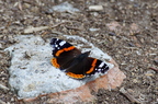 20130530103952-12f7cdf3