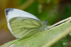 20130530104016-ef43018c
