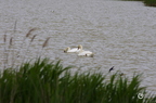 20130530104031-39b07c92