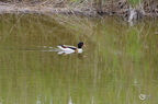 20130530104042-aa84dc7b