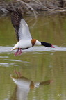 20130530104047-b5bde016
