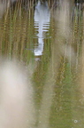 20130530104051-af37f09c