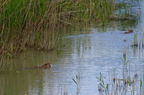 20130530104111-ea86f569