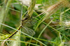 20130530104121-5fc2a204