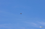 20130530104130-a05d89ca