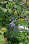20130530104140-fbf9e651