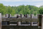20130530104154-9e42f5b9