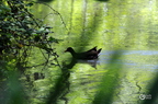 20130530104216-7cb64475