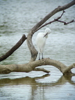20130530143736-deb07a9f