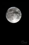 20231012175902-17c4c5d7