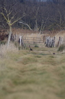 20130106010240-c7b8977d