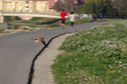 20130106010242-e2a8f496