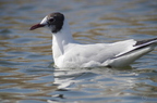 20130321184622-9f0da8cc