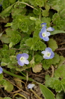 20140302161911-81240c31