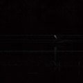  GAD5885 v1
